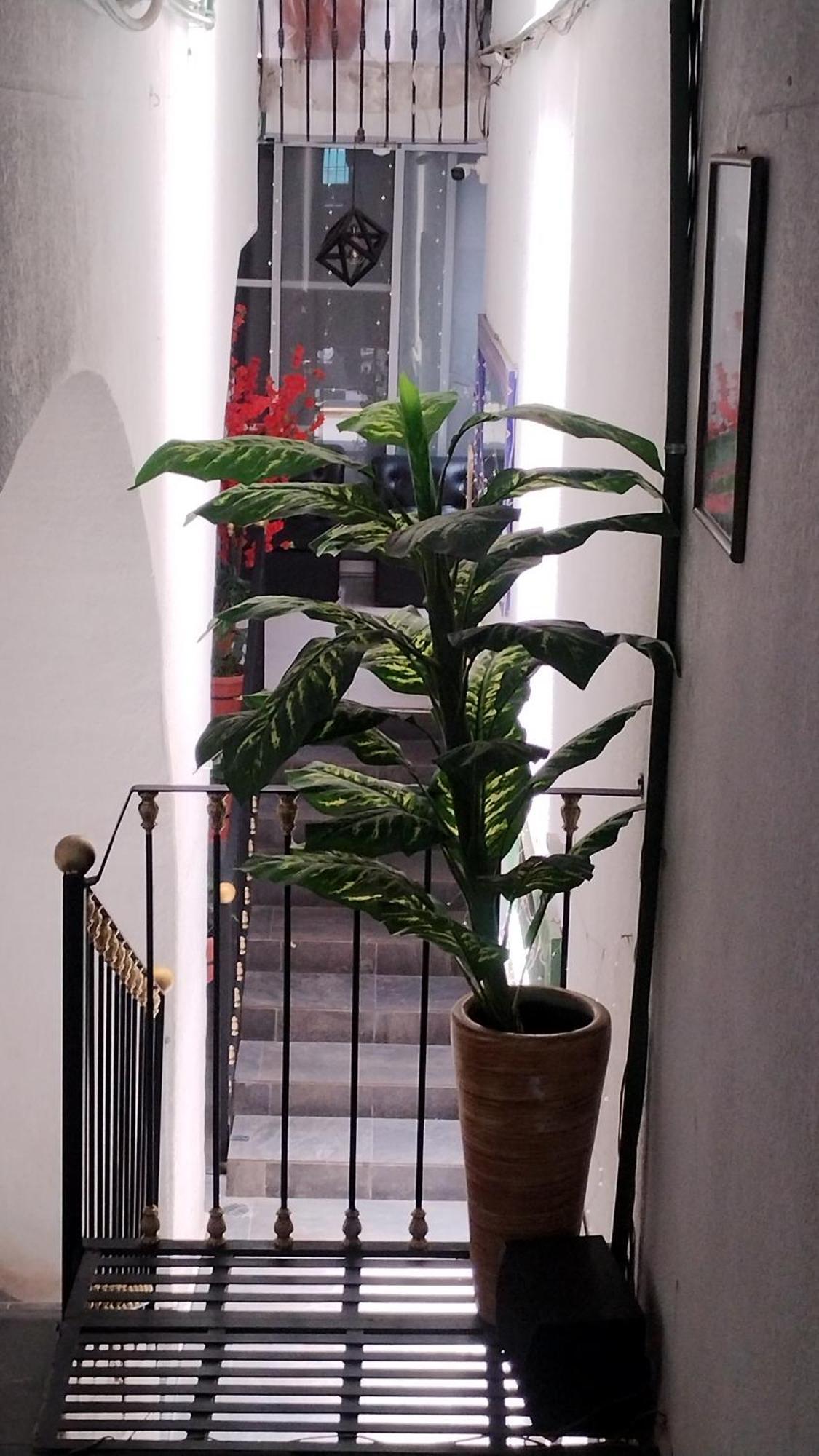 Hotel Tao Atlixco Εξωτερικό φωτογραφία